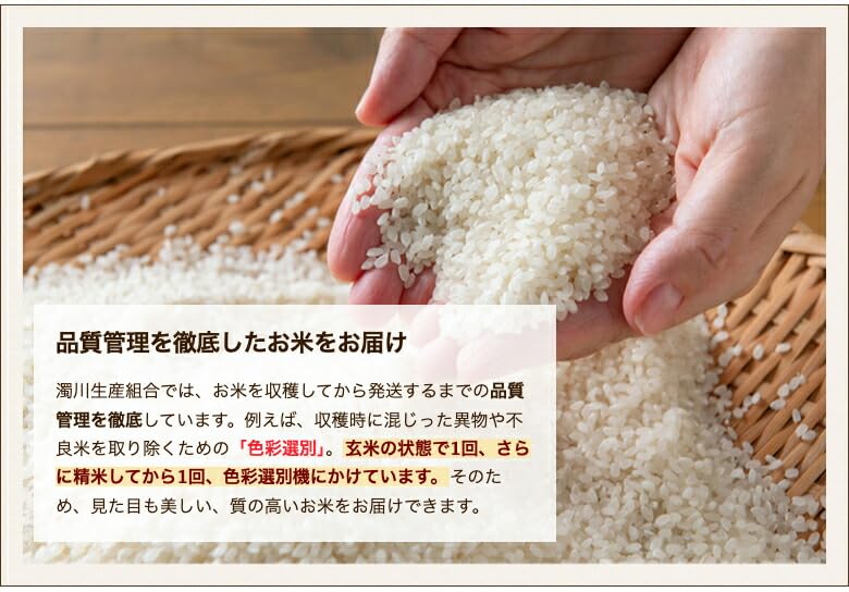 Amazon.co.jp: 新潟県産 ゆきん子舞 精米 20kg : 食品・飲料・お酒